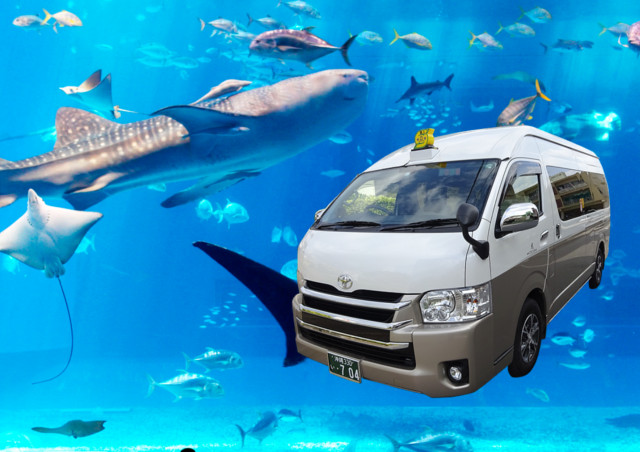 沖縄で観光タクシーを貸切で利用するメリットとは