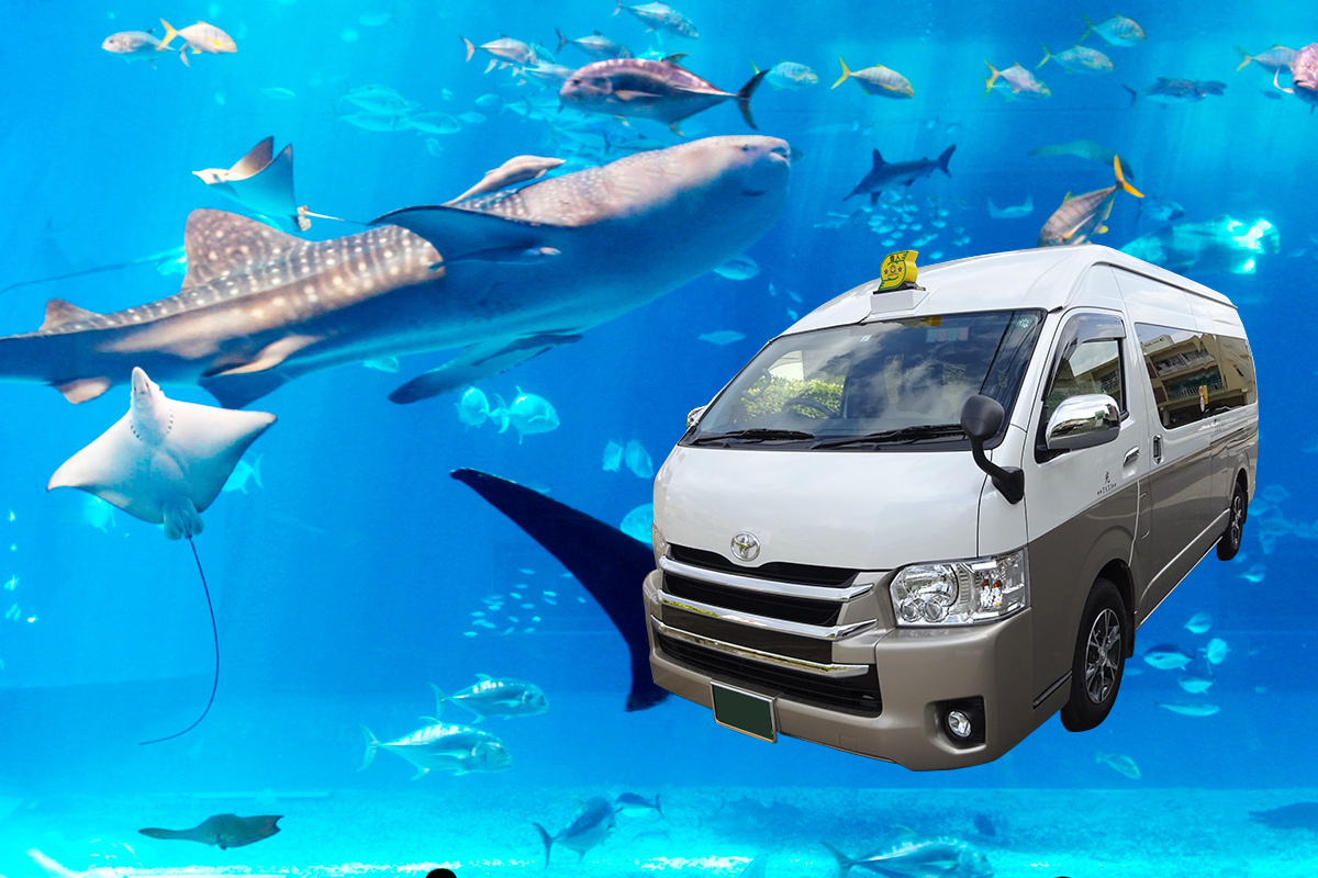 快適な空間を演出 広々空間でゆったりくつろげます！